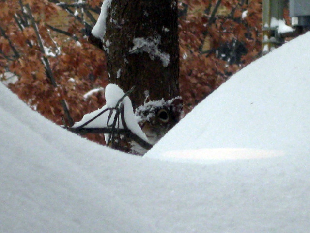 The Storm before the Calm